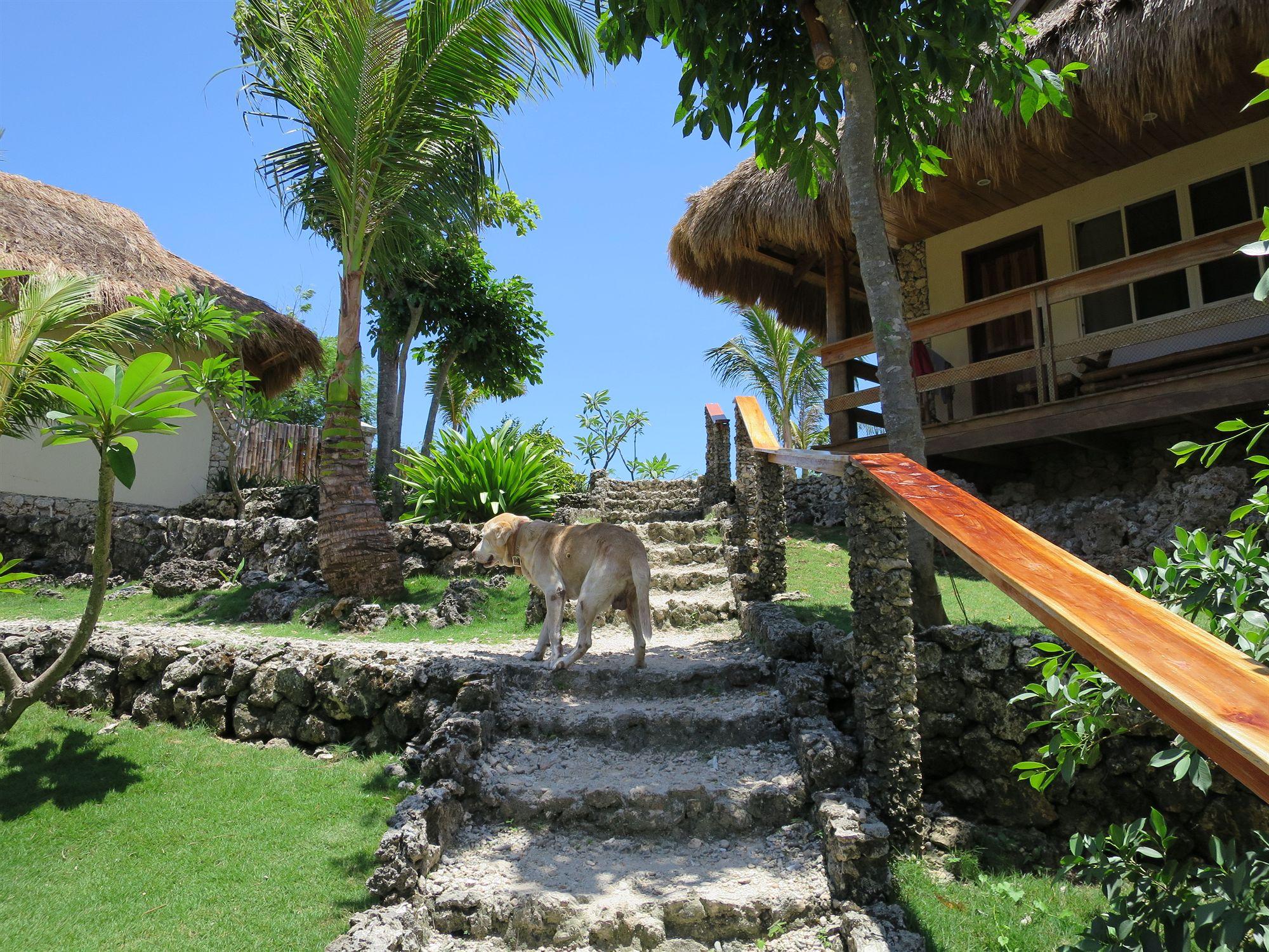 Tepanee Beach Resort Logon Luaran gambar